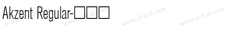 Akzent Regular字体转换
